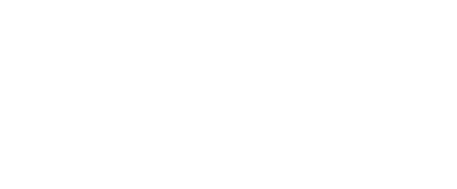 duplo logo white